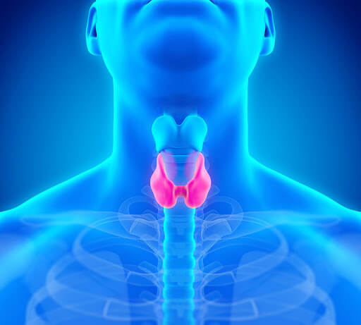 guide-to-buying-a-thyroid-blood-test